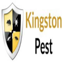 Kingston Pest Control image 4